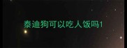 泰迪狗可以吃人饭吗