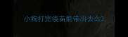 小狗打完疫苗能带出去么