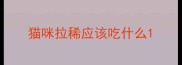 猫咪拉稀应该吃什么