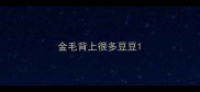 金毛背上很多豆豆