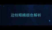 边牧眼睛颜色解析