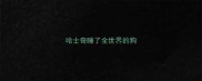 哈士奇睡了全世界的狗