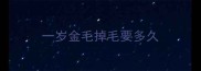一岁金毛掉毛要多久