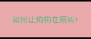 如何让狗狗在厕所