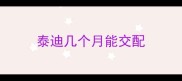泰迪几个月能交配