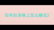 拉布拉多晚上怎么睡觉