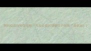 狗狗疫苗接种全攻略养宠必看的健康防护指南最新版