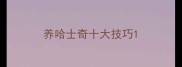 养哈士奇十大技巧
