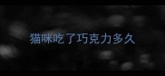 猫咪吃了巧克力多久