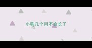 小狗几个月不会长了