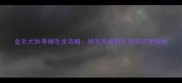 金毛犬秋季掉毛全攻略掉毛高峰期及科学护理指南