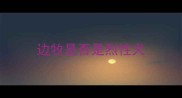 边牧是否是烈性犬