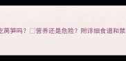 狗狗能吃莴笋吗营养还是危险附详细食谱和禁忌清单
