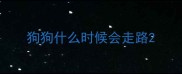 狗狗什么时候会走路