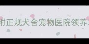 天津哪里买拉布拉多附正规犬舍宠物医院领养攻略新手必看养狗指南