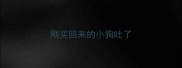 刚买回来的小狗吐了