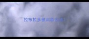 拉布拉多被训练方法