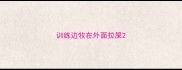 训练边牧在外面拉屎
