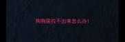 狗狗屎拉不出来怎么办