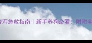 六个月大幼犬腹泻急救指南新手养狗必看附附全网最全护理方案