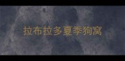 拉布拉多夏季狗窝