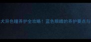 边境牧羊犬异色瞳养护全攻略蓝色眼睛的养护要点与疾病预警