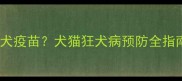 哪些宠物需要接种狂犬疫苗犬猫狂犬病预防全指南附接种时间表
