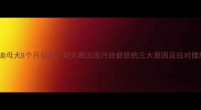 泰迪母犬8个月初潮幼犬期出现月经症状的三大原因及应对措施