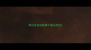 刚出生的边牧鼻子是白色的