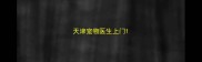 天津宠物医生上门