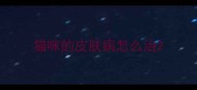 猫咪的皮肤病怎么治