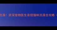 3步搞定猫咪快速洗澡资深宠物医生亲授猫咪洗澡全攻略附防抓挠秘籍