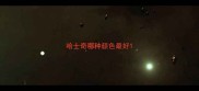 哈士奇哪种颜色最好