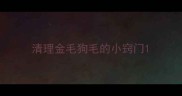 清理金毛狗毛的小窍门