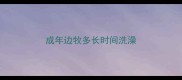 成年边牧多长时间洗澡