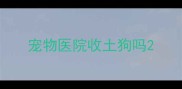 宠物医院收土狗吗