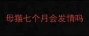 母猫七个月会发情吗