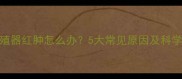 哈士奇生殖器红肿怎么办5大常见原因及科学应对指南