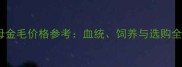 两岁母金毛价格参考血统饲养与选购全攻略