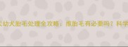 边境牧羊犬幼犬胎毛处理全攻略推胎毛有必要吗科学护理指南