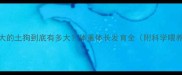 两个月大的土狗到底有多大体重体长发育全附科学喂养指南