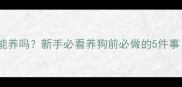 狗狗没打疫苗能养吗新手必看养狗前必做的5件事附疫苗全攻略