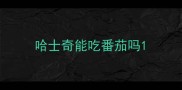 哈士奇能吃番茄吗