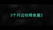 3个月边牧喂食量