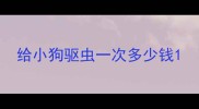 给小狗驱虫一次多少钱