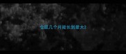 仓鼠几个月能长到最大