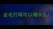 金毛打嗝可以喝水么