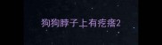 狗狗脖子上有疙瘩