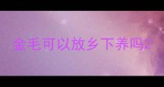 金毛可以放乡下养吗