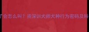 拉布拉多饿了会怎么叫资深训犬师犬种行为密码及科学喂养指南